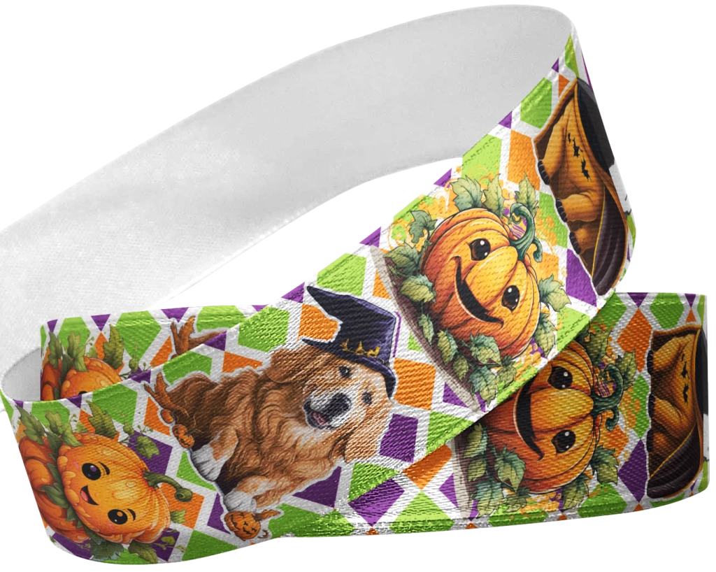 Dog Halloween