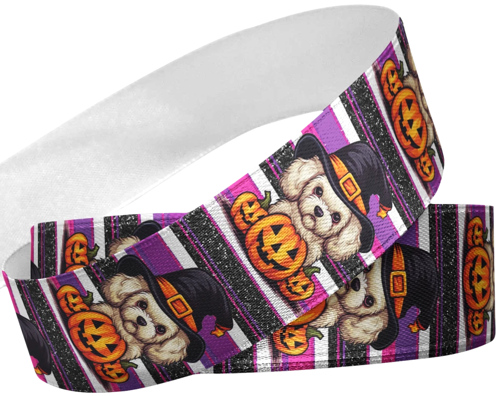 Halloween dos Pets