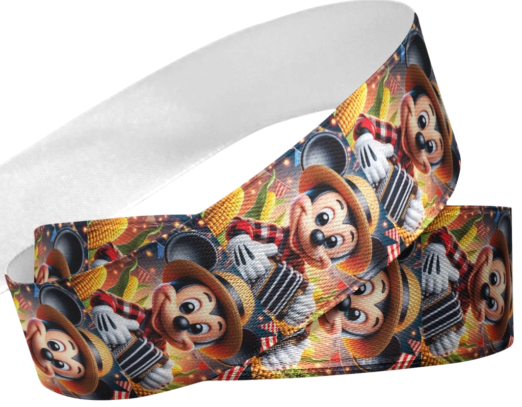 Mickey no Arraia