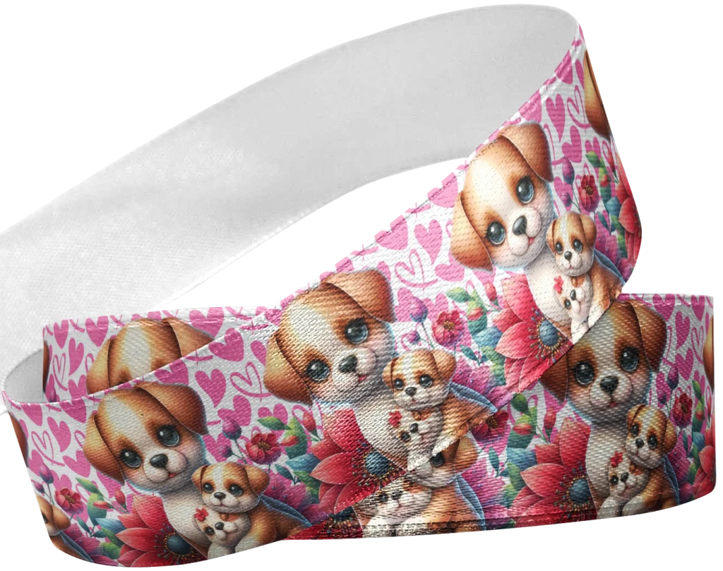FITA DOG 