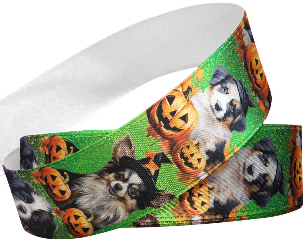 Dog Halloween