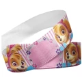 Fita Skye patrulha canina