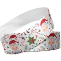 Papai Noel