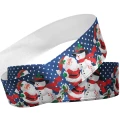 Papai Noel