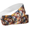 Mickey no Arraia
