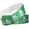 Palmeiras
